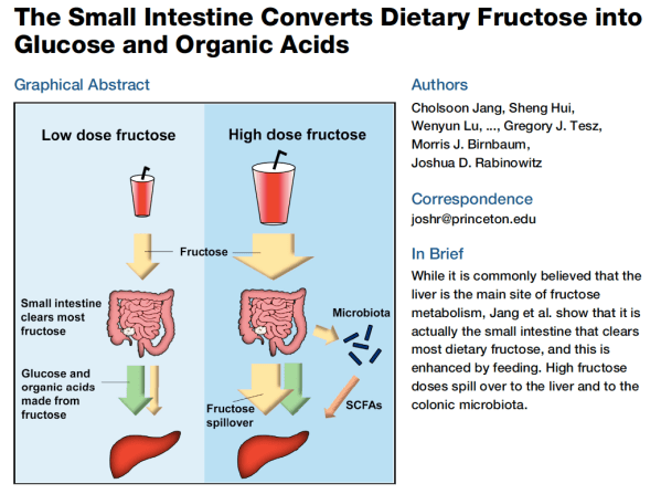 Screen Shot 2019-09-25 at 11.47.31 AM