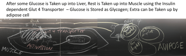 Screen Shot 2019-10-01 at 10.28.33 PM