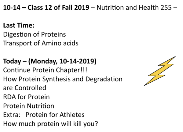 Screen Shot 2019-10-14 at 2.50.23 PM