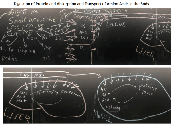 Screen Shot 2019-10-21 at 12.33.19 PM