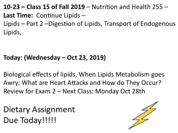 Screen Shot 2019-10-23 at 10.28.38 AM