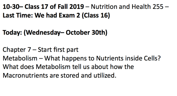 Screen Shot 2019-10-30 at 12.23.07 PM