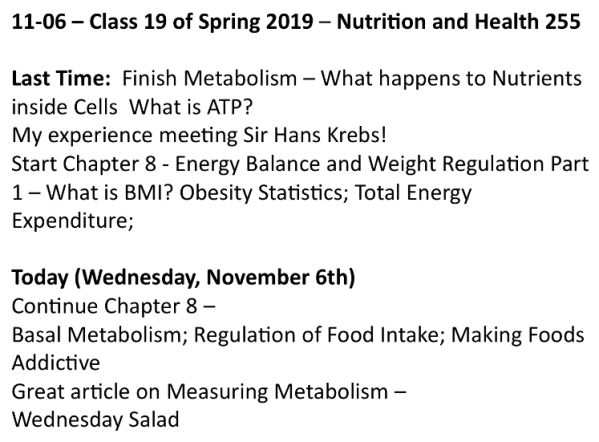 Screen Shot 2019-11-06 at 12.22.11 PM