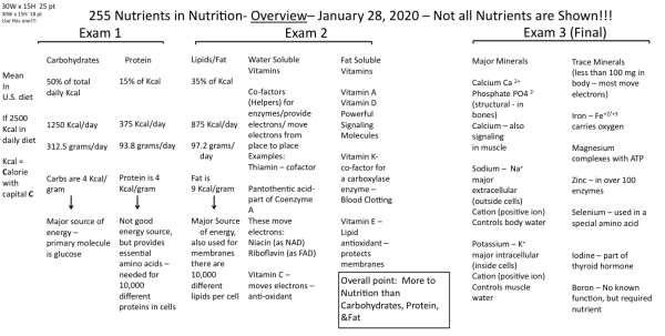 Screen Shot 2020-01-28 at 7.51.17 AM