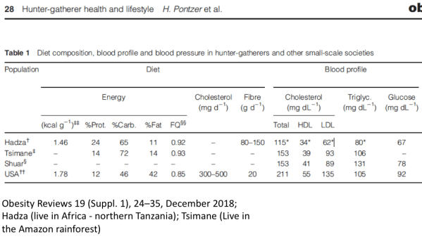 Screen Shot 2020-02-06 at 8.46.26 PM