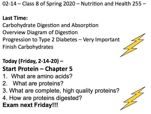 Screen Shot 2020-02-14 at 11.21.33 AM