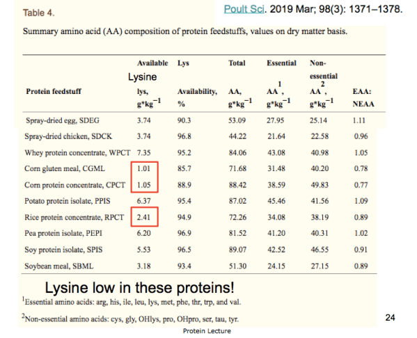Screen Shot 2020-02-14 at 12.12.57 PM