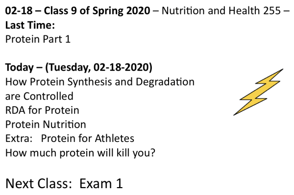 Screen Shot 2020-02-18 at 7.38.56 AM