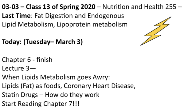 Screen Shot 2020-03-03 at 7.13.12 AM