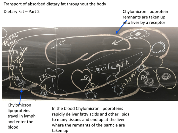 Screen Shot 2020-03-03 at 7.17.57 AM