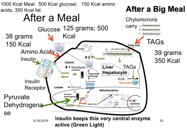 Screen Shot 2020-03-06 at 12.05.24 PM