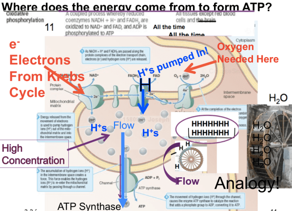 Screen Shot 2020-03-10 at 7.38.04 AM