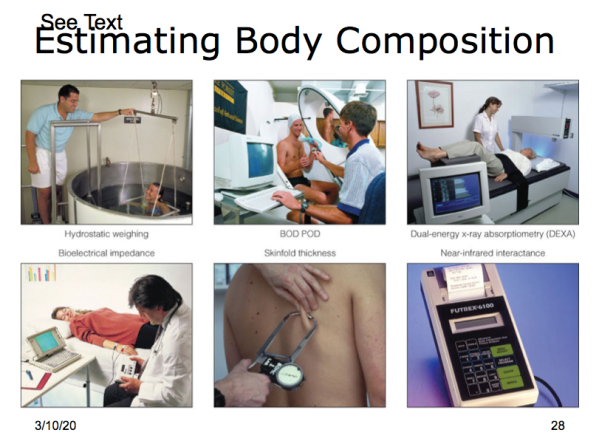 Screen Shot 2020-03-13 at 2.51.32 PM