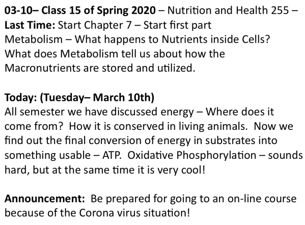 Screen Shot 2020-03-22 at 4.07.16 PM